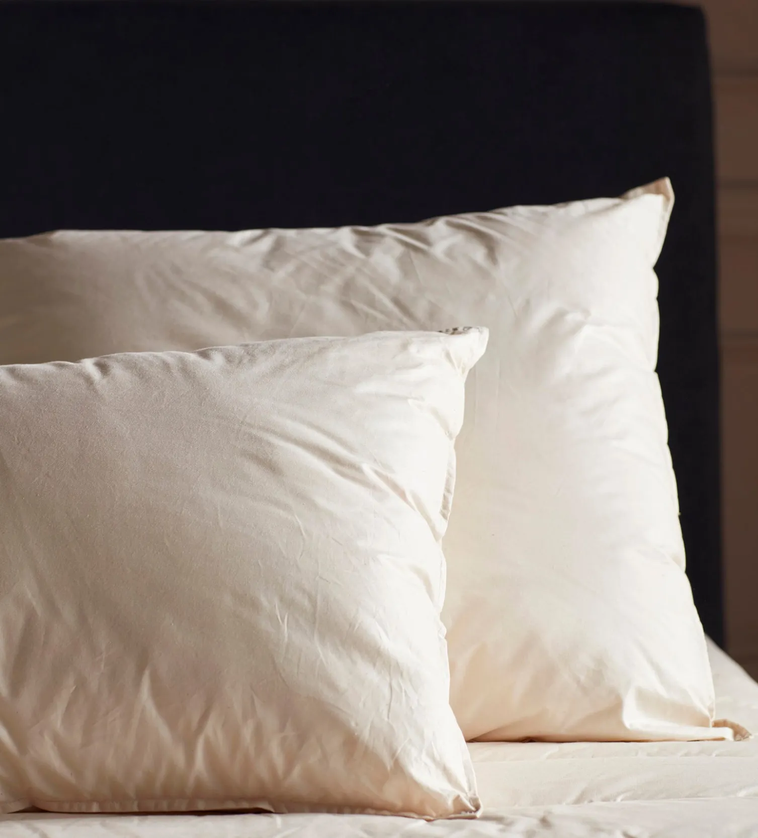 Secret Linen Store Baa Baa Bedtime Finest Wool Pillow